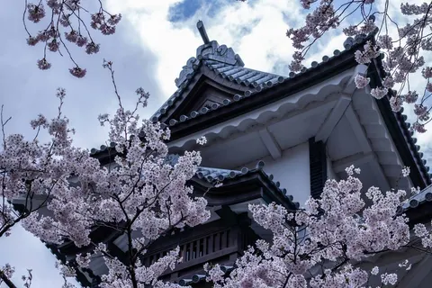 Discover Authentic Japan in Tokyo — foto 3