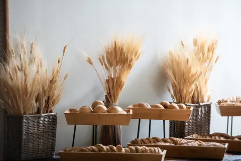 Hotel Blue Dolphin foto 12