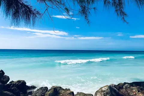 Divi Southwinds Beach Resort in St. Lawrence — foto 7