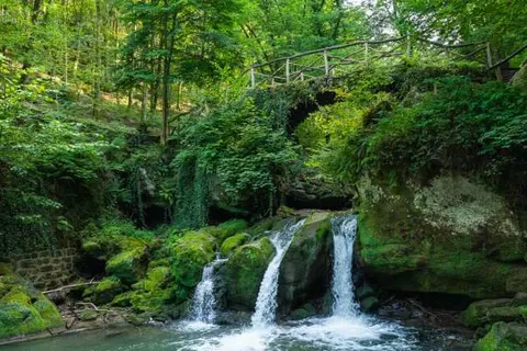 Resort Walsdorf foto 18