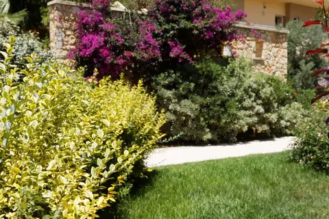 Indigo Mare in Πλατανιάς — foto 12