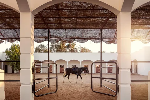 Hotel Palm Royale Soma Bay Resort foto 23