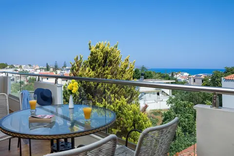 Nireas Hotel in Δαράτσος — foto 17