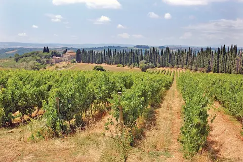 Ontdek de parels van Cinque Terre, Toscane en Venetië in Pescara — foto 18