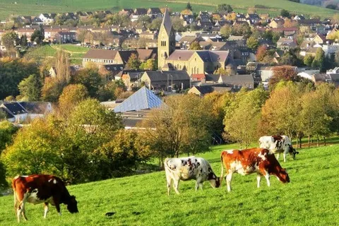 Hotel Gulpenerland foto 21