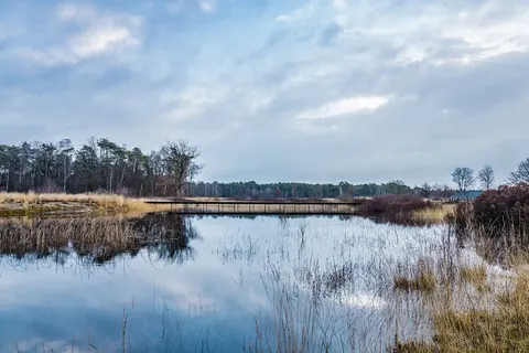 Kerst op de Veluwe, Nunspeet foto 6