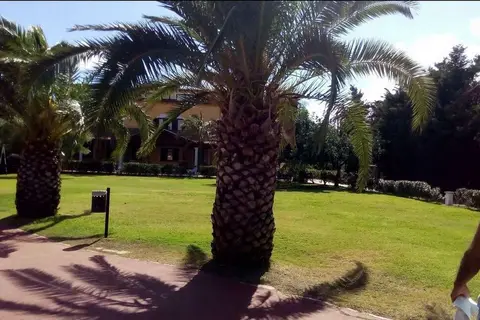 Hotel Club le Rose in San Teodoro — foto 9