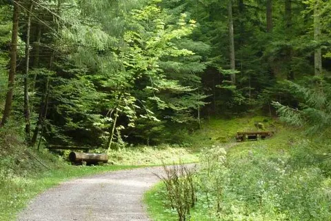 Landhotel Basler Hof foto 16