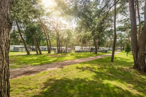 Bos Park Bilthoven foto 3