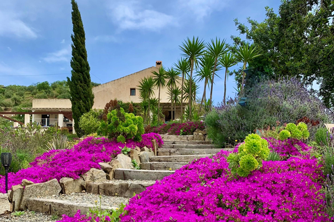 Finca las Nuevas foto 36