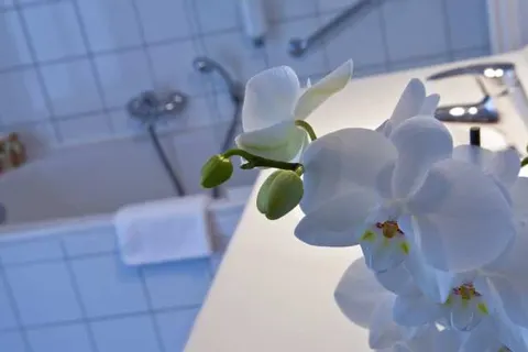 Cocoon Hotel Belair foto 7