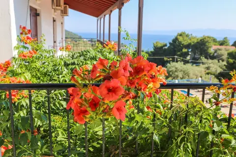 Angelina Studios in Αχλαδιάς — foto 12