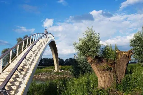 Hotel Umberto foto 26