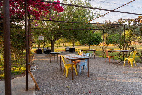 Hotel Las Mariposas Ibiza foto 14