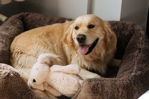 Boutique Hotel Azur foto 12