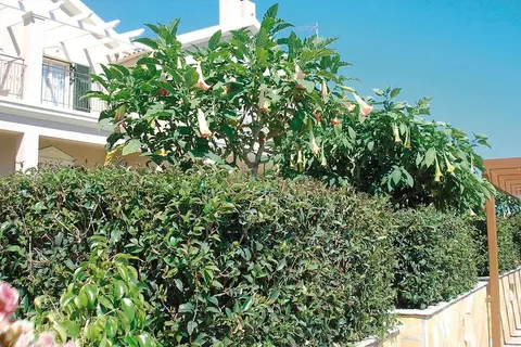 Nostimon Emar in Λουρδάτα — foto 13