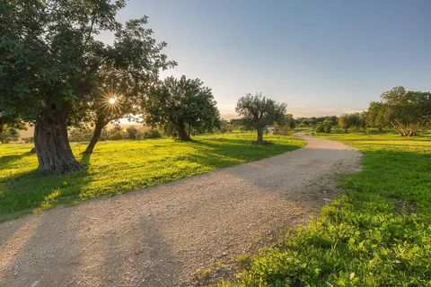 Masseria Della Volpe in Noto — foto 2
