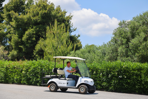 Hotel Alia Palace - adults only foto 15