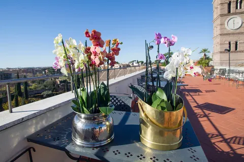 Hotel Domus Sessoriana foto 3