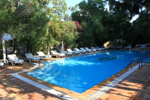 Okaliptus in Bodrum