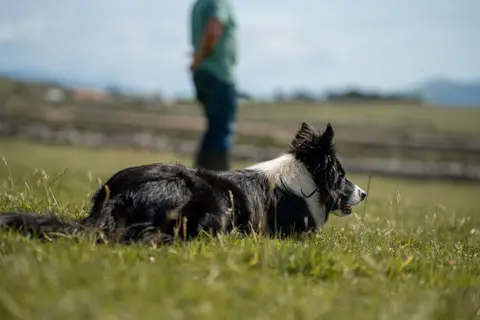 Ontdek Clare en Galway vanuit Ennis in Ennis Municipal District — foto 4