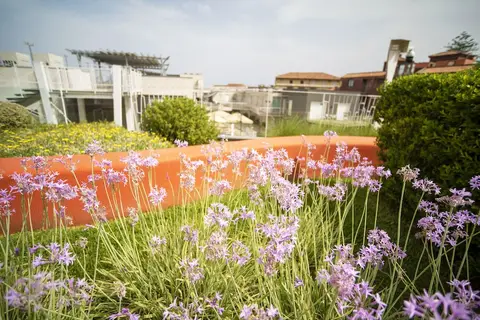 Ciclope Residence in Aci Castello, foto 7