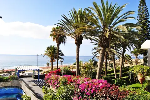 El Paseo in San Bartolomé de Tirajana — foto 23