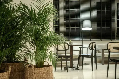 Bitzaro Palace Hotel in Δημοτική Ενότητα Λαγανά — foto 7
