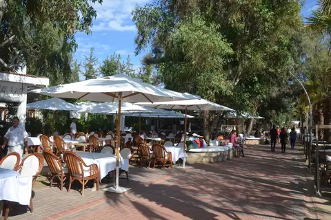 Okaliptus Otel in Bodrum — foto 22