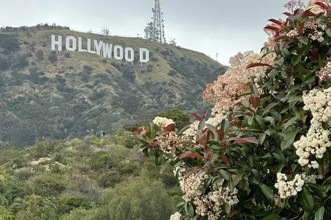 Ontdek California foto 2