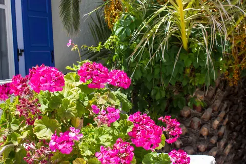 Naxos Holidays Hotel in Naxos holidays, foto 14