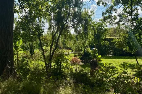 Gasterij Hotel Dennenoord foto 19