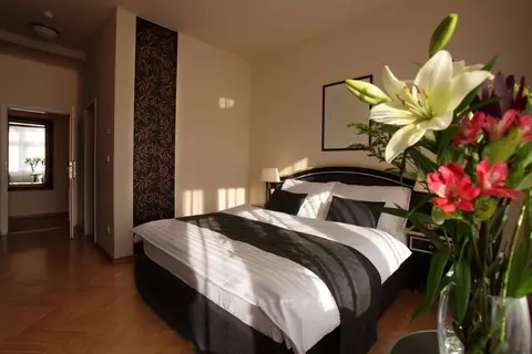 Hotel Elysee Prague in Praag — foto 14