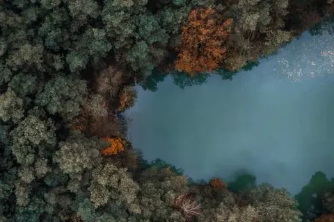 Hotel en Restaurant Wesseling foto 26