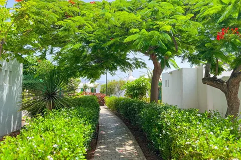 Cordial Sandy Golf Bungalows in Maspalomas — foto 9