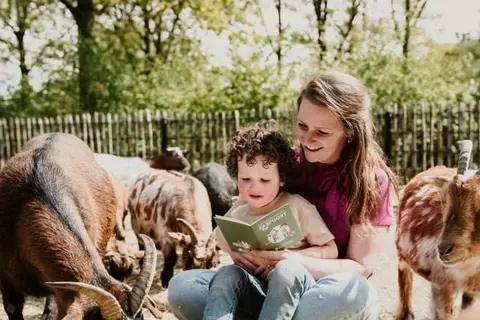 Vakantiepark Dierenbos in Vinkel — foto 17