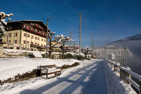 Hotel Seehof in Zell am See — foto 9