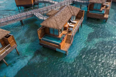 Princess Senses The Mangrove in Harding Hall — foto 5