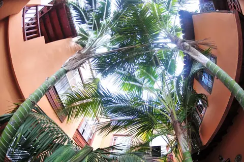Hotel Emblemático San Marcos in Icod de los Vinos, foto 10