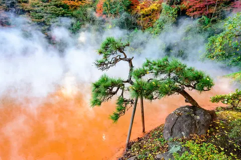 Natural Wonders of Authentic Kyushu in Fukuoka — foto 4