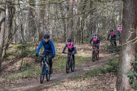 Vakantiepark Westerbergen foto 17