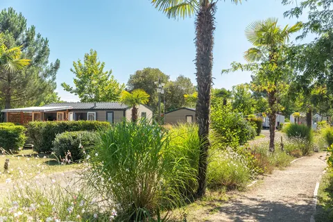 Camping Les Vignes foto 11