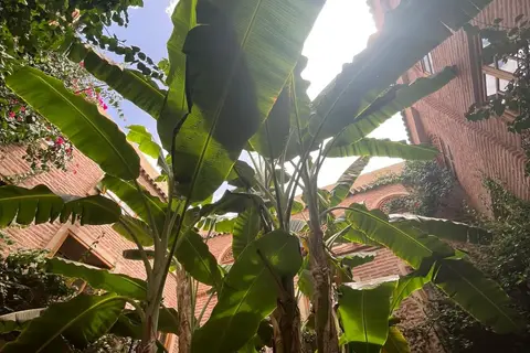 Hotel Riad Dar Bounouar in Marrakech — foto 11
