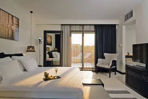 Dion Palace Resort & Spa in Athene — foto 8