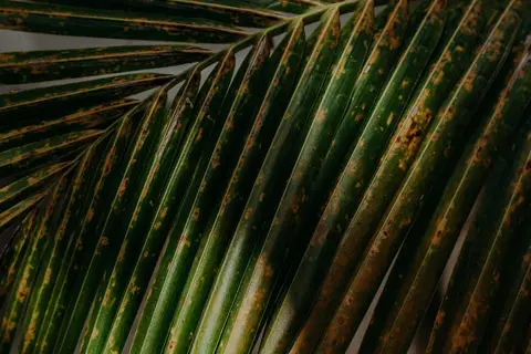 Ether Tulum in Cancún — foto 13