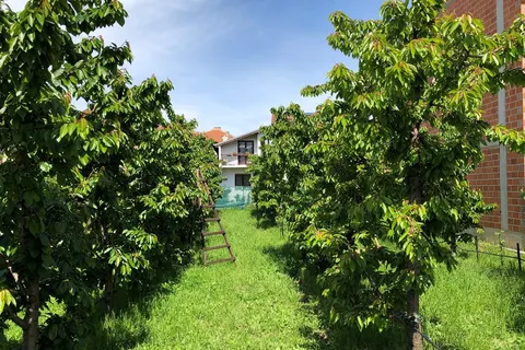 Villa Kotlar in Ohrid — foto 4