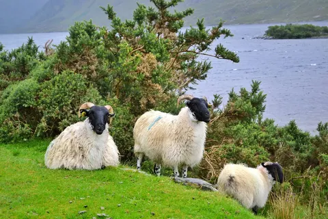 Het beste van Ierland foto 8