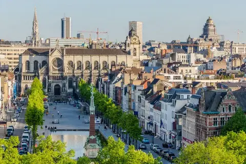 Parels van Belgie in Nederlandse en Belgische Wateren — foto 14