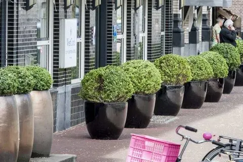 WestCord City Centre Amsterdam foto 2