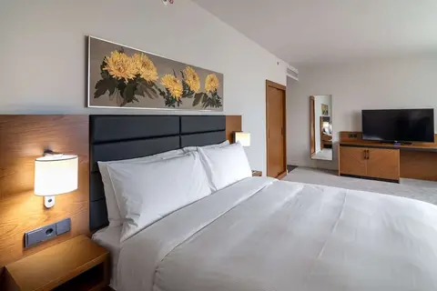 Hilton Garden Inn Tbilisi Chavchavadze in Tbilisi — foto 7
